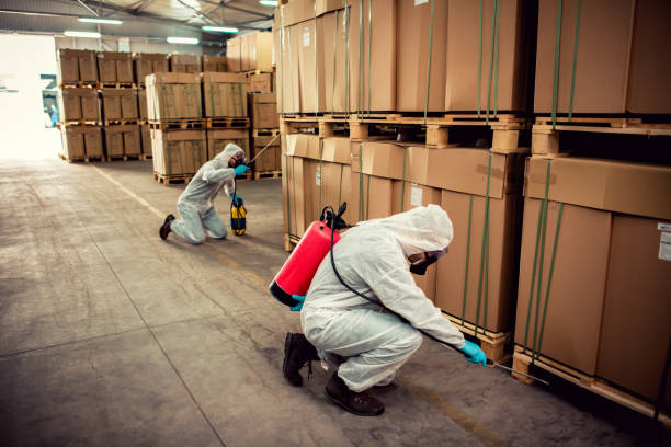 Best Cockroach Control Services  in Manatee Road, FL