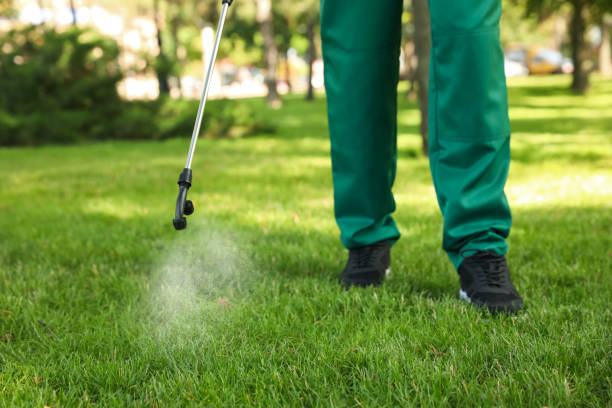 Best Termite Control Services  in Manatee Road, FL