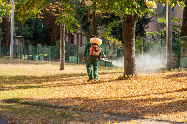 Trusted Manatee Road, FL Pest Control Experts