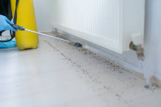  Manatee Road, FL Pest Control Pros
