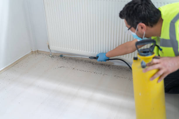Best Pest Control for Homes  in Manatee Road, FL